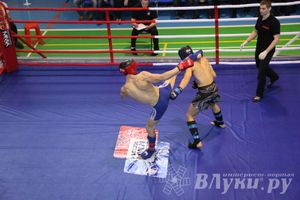 В Великих Луках прошел межрегиональный Открытый Кубок по смешанному боевому единоборству (фото)