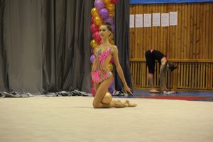 В Великих Луках завершился первый день соревнований Открытого Первенства города по художественной гимнастике (ФОТО) (0+))