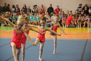 Парад гимнастики