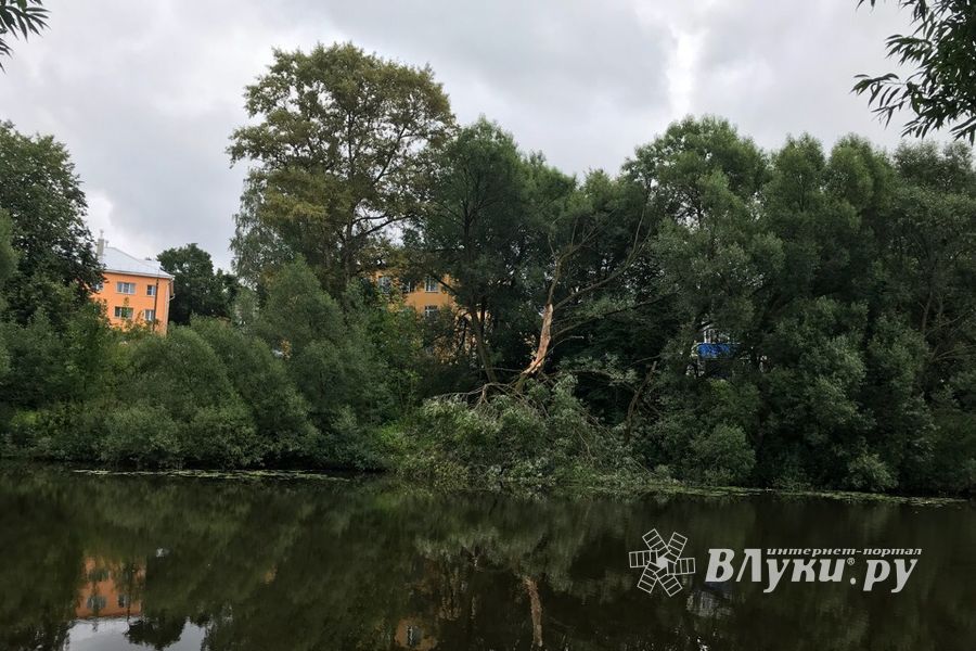 Фотофакт: застряла в плотине