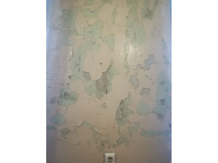 Жители Псковской области жалуются на неподобающее состояние больницы в Черехе