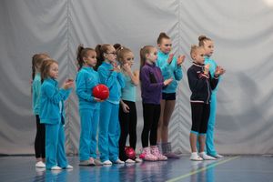 Кубок города Великие Луки по художественной гимнастике (ФОТО)