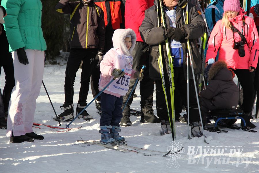 Всероссийская массовая лыжная гонка «Лыжня России 2015» состоялась в Великолукском районе (фото)