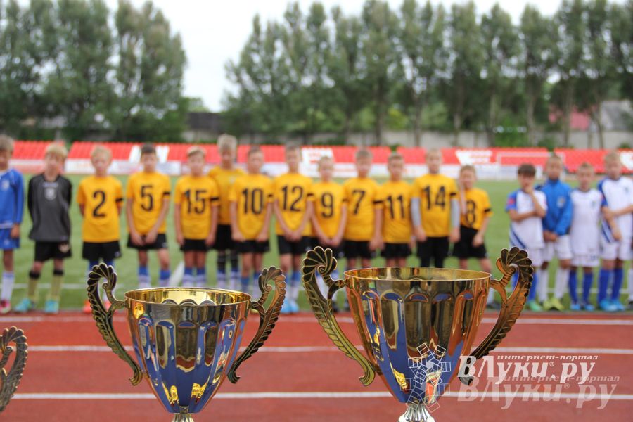 В Великих Луках состоялся Всероссийский турнир «Загрузи себя футболом» (фото)