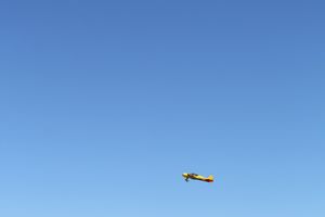 В Великих Луках прошел Фестиваль авиамодельного спорта (фото)