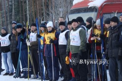 Фото УМВД России по Псковской области