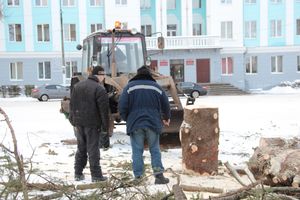 Главная городская ёлка отправилась на свалку (ФОТО)