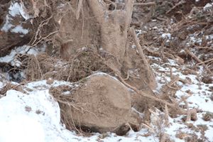 В Великих Луках ведется строительство центра по подготовке велосипедистов (ФОТО)