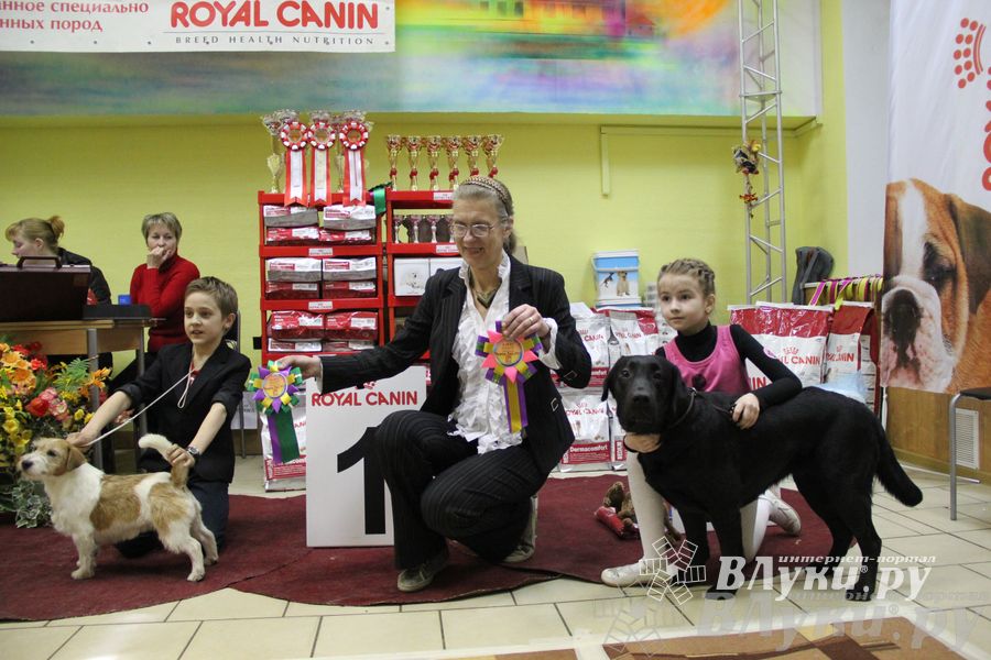 Всероссийская выставка собак «Великие Луки — 2014»