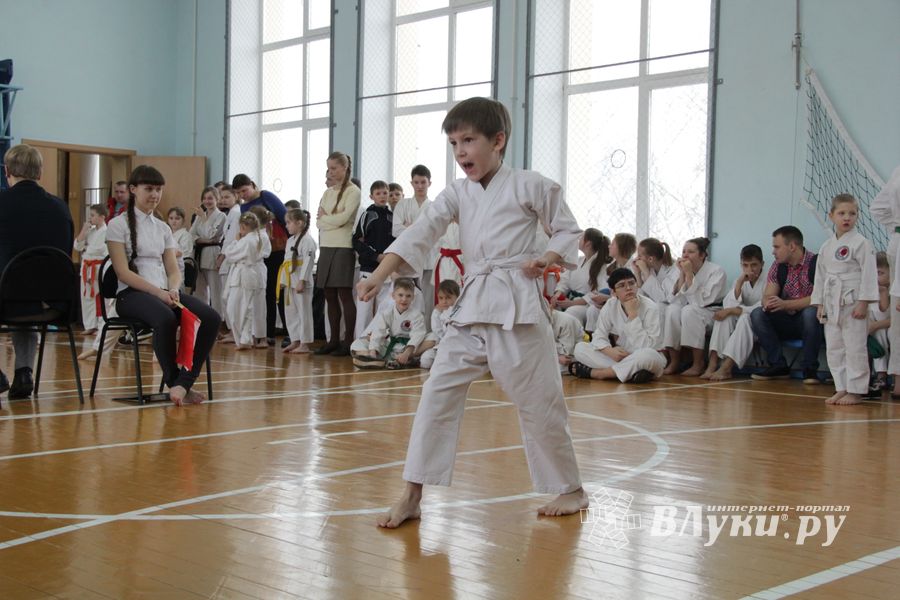 В Великих Луках прошел  турнир по Шотокан каратэ