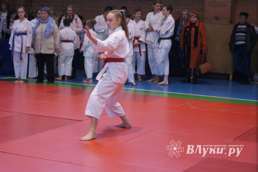 В Великих Луках прошли соревнования по каратэ (ФОТО)