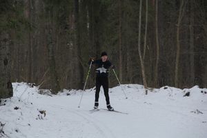 В Великолукском районе прошли соревнования по спортивному ориентированию на лыжах (фото)