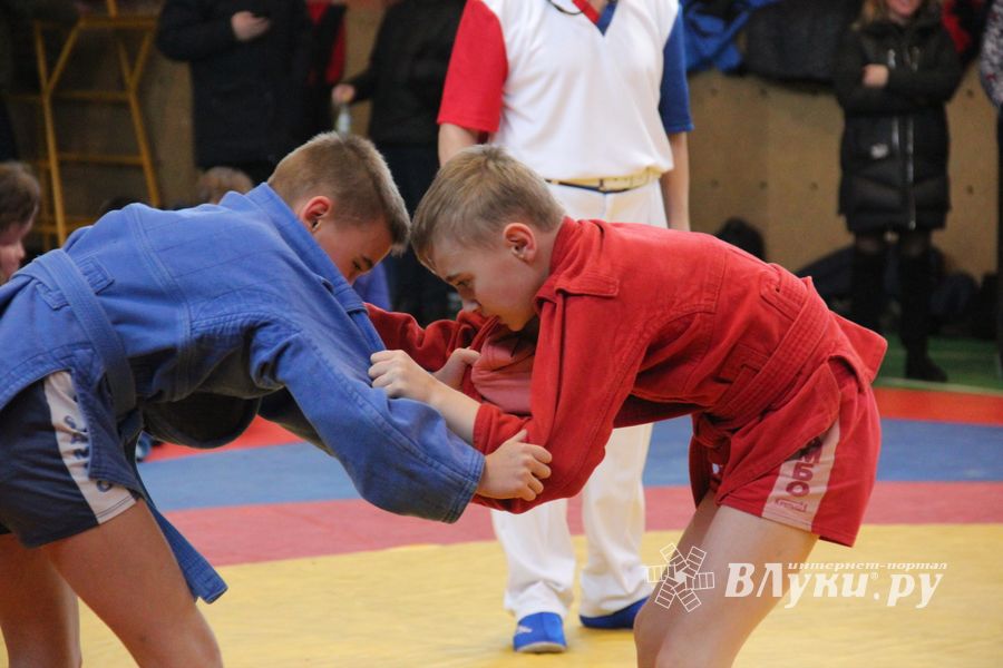 В Великих Луках прошли соревнования по самбо (ФОТО)