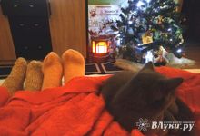 Большинство псковичей довольны длинными новогодними каникулами