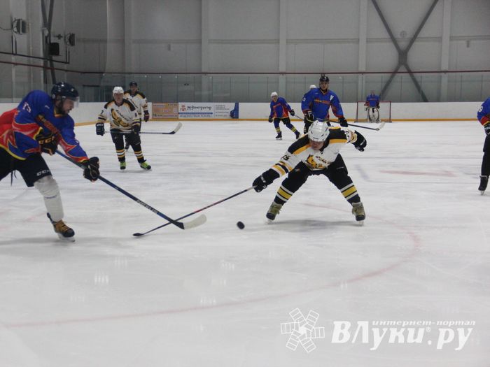 Великолукские хоккеисты одержали победу на домашнем льду (ФОТО)