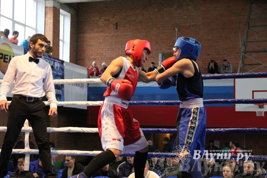 16-й Международный турнир по боксу (фото)