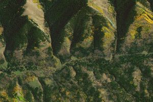 Осенние леса в канадской провинции Альберта, 10 октября