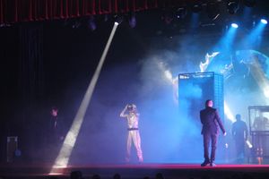 Состоялся концерт братьев Сафроновых «Империя иллюзий» (фото)