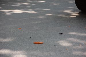 ДТП на проспекте Гагарина (ФОТО)