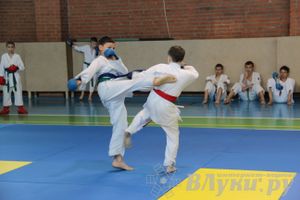 Турнир по каратэ «Неприкосновенный запас — дети Отчизны»