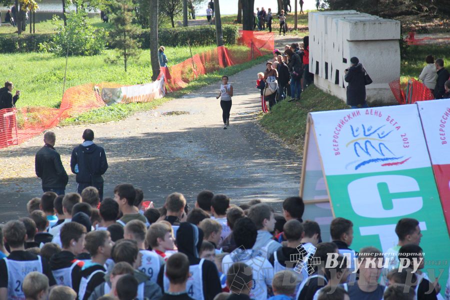 Кросс нации