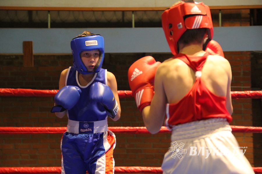В Великих Луках проходят соревнования по боксу памяти Е.А. Клевцова (фоторепортаж)