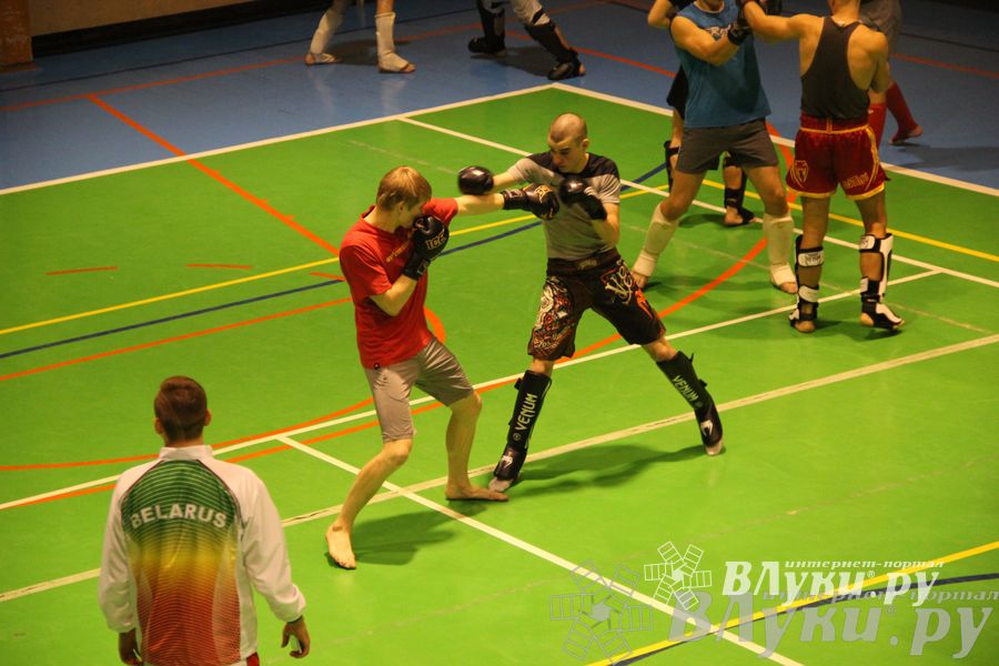 В Великих Луках прошел мастер-класс по кикбоксингу (фото)