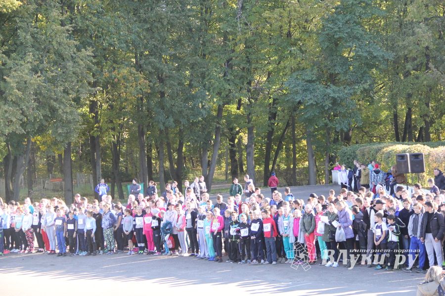 Легкоатлетический осенний кросс прошел в Великих Луках (фоторепортаж)