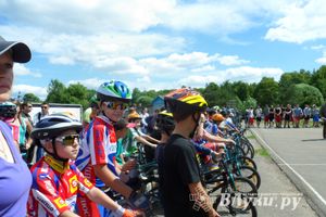 В Великих Луках прошел Всероссийский олимпийский день (фото)