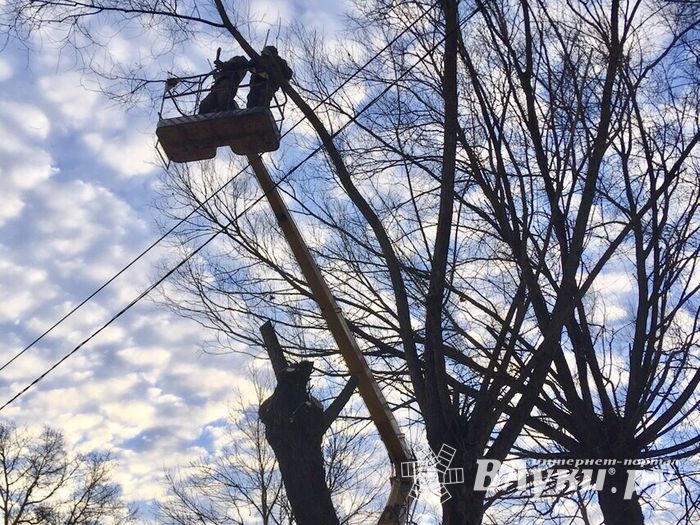 В Великих Луках удаляют угрожающие гражданам ветви (ФОТО)