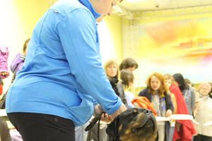 Всероссийская выставка собак «Великие Луки — 2014»