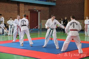 В Великих Луках прошло Первенство по тхэквондо (фото)