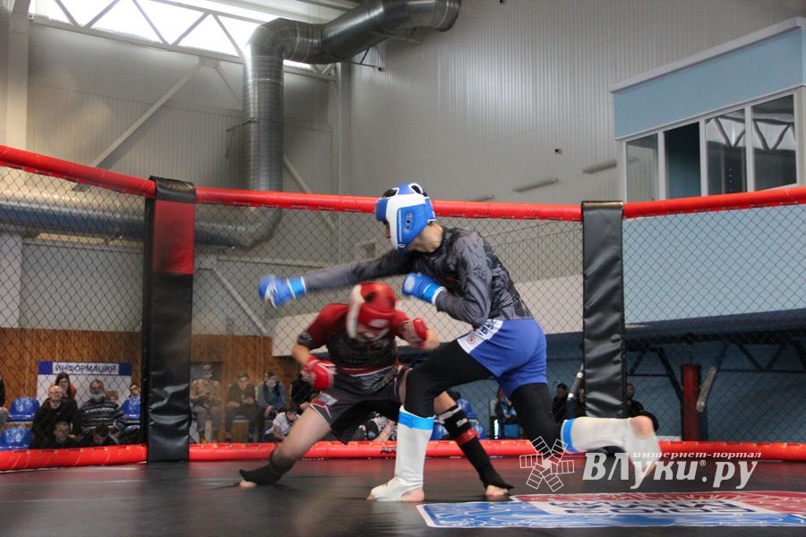 В Великих Луках прошел кубок по смешанному боевому единоборству (ФОТО)