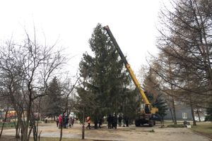 В Великих Луках установили вторую городскую ёлку (ФОТО)