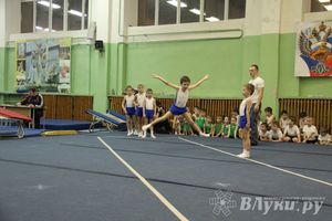 В Великих Луках состоялось Первенство по командной гимнастике (фото)