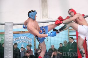 Первый чемпионат и первенство Псковской области по смешанным боевым искусствам «ММА»