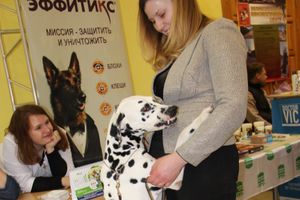 Всероссийская выставка собак в Великих Луках (фото)