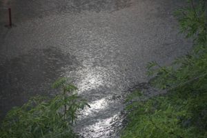 Сегодня в Великих Луках возможна гроза