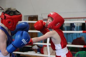 Юные великолучане выявили сильнейших боксёров (ФОТО)