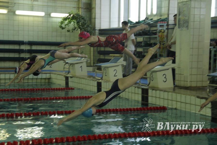 Первый «Быстрый кашалот» в Великих Луках  (фото)