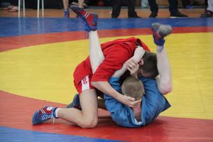 Самбисты поборолись на крупном турнире в Великих Луках (ФОТО)