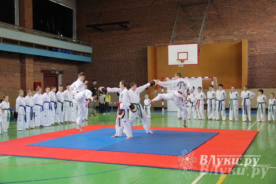 В Великих Луках прошло Первенство по тхэквондо (фото)
