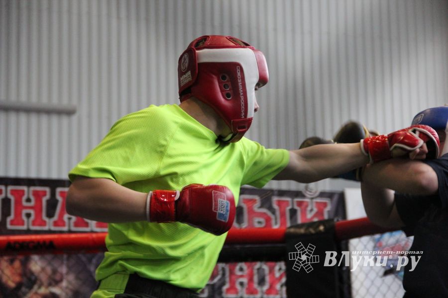 В Великих Луках прошел кубок по смешанному боевому единоборству (ФОТО)