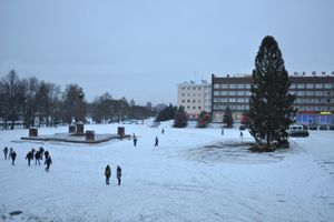 В Великие Луки приехала новогодняя ёлка (фото)