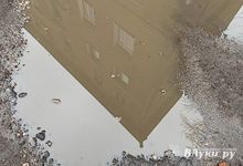 Названа главная опасность аномально тёплой зимы