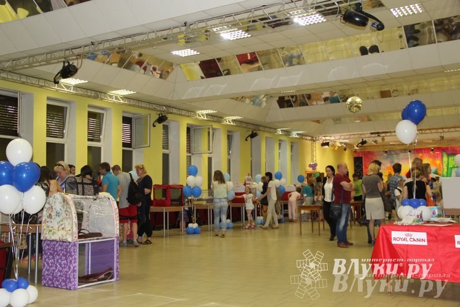 В Великих Луках прошла выставка кошек (фото)