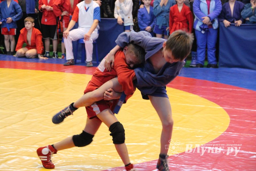 В Великих Луках проходит турнир самбистов (ФОТО)