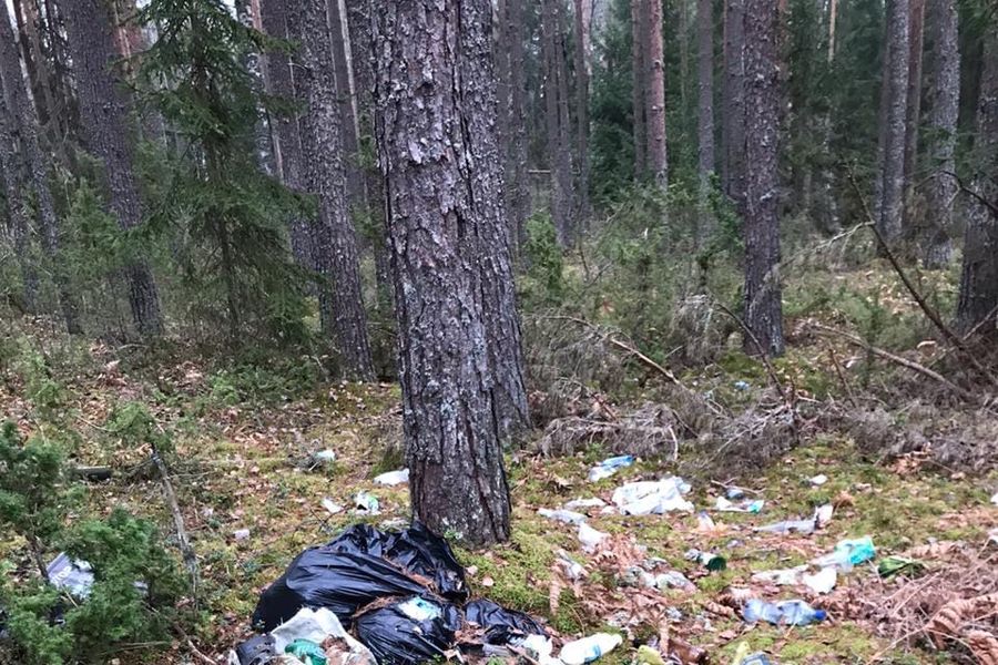 Великолукская семья навела порядок в Сенчитах (ФОТО)