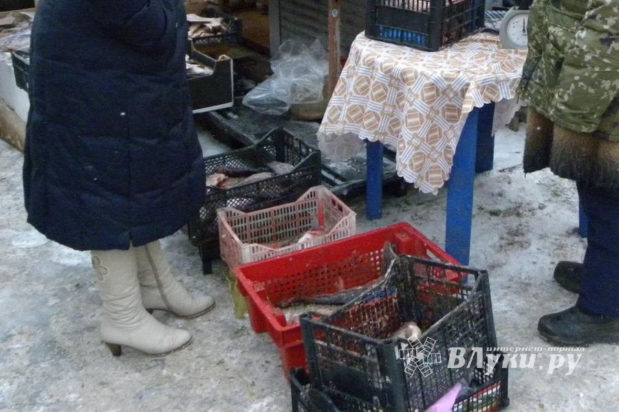 На псковском рынке «Маяк» снова выявлена незаконная торговля водными биоресурсами