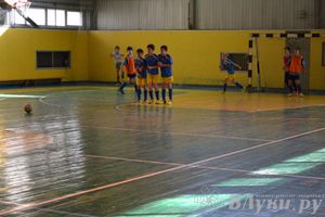 XII Традиционный Международный открытый турнир по мини-футболу среди юношей 2001-2002 г. р.